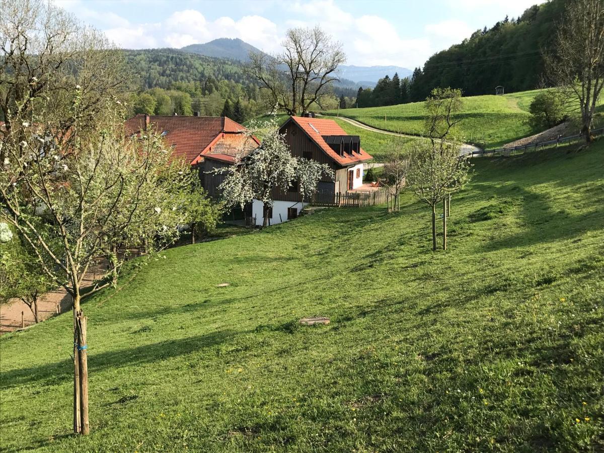 Pension Ober Siegsdorf Exterior photo